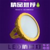 BAD808-A(I)  成都LED 防爆燈 山東防爆燈