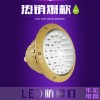 BAD808-I倉庫防爆燈 LED防爆燈30W 24V防爆燈
