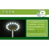 BGD 防爆高桿燈 防水防塵防腐高桿燈FGD 30米 25米