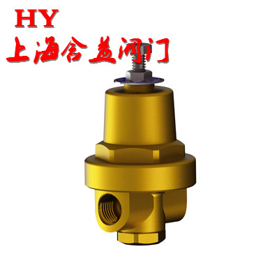 低溫升壓調(diào)壓閥 DYS-06 10_副本