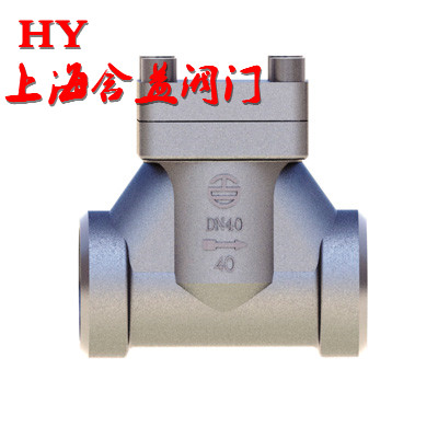 低溫止回閥DH_副本