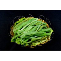 第十八屆中國(guó)國(guó)際農(nóng)產(chǎn)品交易會(huì)(農(nóng)交會(huì))