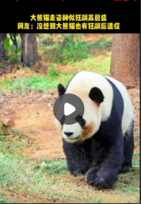 QQ圖片20230304123553