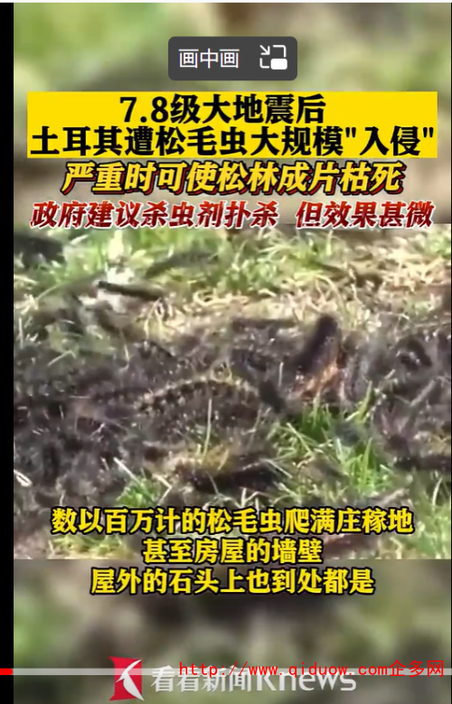 QQ圖片20230306094612