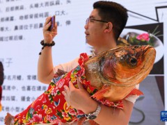 海外網(wǎng)評：中俄博覽會服務(wù)中俄，貢獻(xiàn)世界