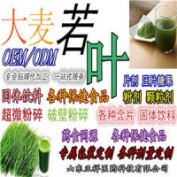 大麥若葉青汁粉 堿性代餐青汁粉 螞蟻青汁 OEM貼牌代食品
